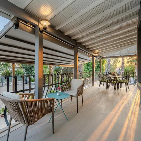 Sofa Zeytin Apartment